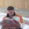 сергей, 59, г.Реж сергей, 59, г.Реж