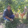 Сергей, 42, г.Веселиново Сергей, 42, г.Веселиново