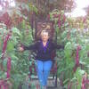Лера, 58, г.Баку Лера, 58, г.Баку