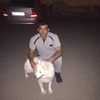 vusal, 34, г.Сумгаит vusal, 34, г.Сумгаит