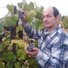 Valeriu Mamaliga, 68, г.Унгены Valeriu Mamaliga, 68, г.Унгены