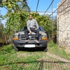 Harut (Arik), 36, г.Kaiserslautern Harut (Arik), 36, г.Kaiserslautern