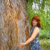 Нина, 50, г.Старобельск Нина, 50, г.Старобельск