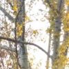 Аня, 25, г.Торецк Аня, 25, г.Торецк