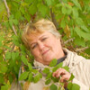 Вера, 55, г.Камышлов Вера, 55, г.Камышлов