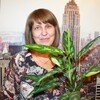татьяна, 44, г.Среднеуральск татьяна, 44, г.Среднеуральск