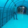 Алексей, 30, г.Семей Алексей, 30, г.Семей
