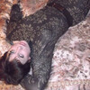 Ирина, 45, г.Петровск Ирина, 45, г.Петровск