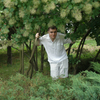 Андрей, 38, г.Тирасполь Андрей, 38, г.Тирасполь