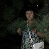 наима, 70, г.Ташкент наима, 70, г.Ташкент