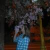Galina, 23, г.Ужгород Galina, 23, г.Ужгород