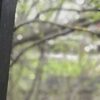 Дмитрий, 51, г.Солнечногорск Дмитрий, 51, г.Солнечногорск