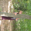 tanya, 56, г.Мелитополь tanya, 56, г.Мелитополь