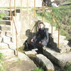 Гена Мельник, 30, г.Бричаны Гена Мельник, 30, г.Бричаны