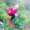 Елена, 58, г.Павлоград Елена, 58, г.Павлоград