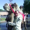 илья, 37, г.Великий Новгород (Новгород) илья, 37, г.Великий Новгород (Новгород)