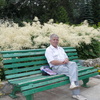 георгий, 66, г.Звенигово георгий, 66, г.Звенигово
