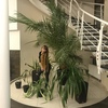aleksandra, 28, г.Одесса aleksandra, 28, г.Одесса