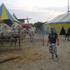Aleksei, 39, г.Cuxhaven Aleksei, 39, г.Cuxhaven
