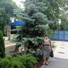 Валентина, 20, г.Одесса Валентина, 20, г.Одесса