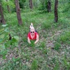 Елена, 34, г.Бобруйск Елена, 34, г.Бобруйск