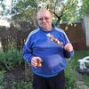 АЛЕКСАНДР, 64, г.Конаково АЛЕКСАНДР, 64, г.Конаково