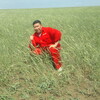 Кадирбек, 41, г.Актобе (Актюбинск) Кадирбек, 41, г.Актобе (Актюбинск)