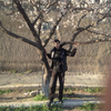 ABUL, 22, г.Zeytun ABUL, 22, г.Zeytun