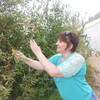 оксана, 41, г.Новый Уренгой (Тюменская обл.) оксана, 41, г.Новый Уренгой (Тюменская обл.)