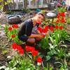 Юлия, 31, г.Липецк Юлия, 31, г.Липецк