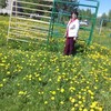 Нина, 59, г.Северодвинск Нина, 59, г.Северодвинск