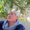 Нина, 54, г.Лисичанск Нина, 54, г.Лисичанск