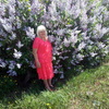 Светлана, 64, г.Гомель Светлана, 64, г.Гомель