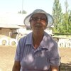 Наталия, 72, г.Сергиев Посад Наталия, 72, г.Сергиев Посад