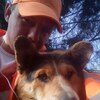 Максим, 32, г.Видное Максим, 32, г.Видное