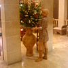 Зина, 56, г.Тверия Зина, 56, г.Тверия