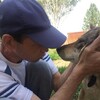 Сергей, 44, г.Мантурово Сергей, 44, г.Мантурово