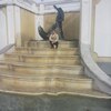 Arsen, 35, г.Кохтла-Ярве Arsen, 35, г.Кохтла-Ярве