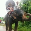Анатолий, 52, г.Янтиково Анатолий, 52, г.Янтиково