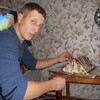 дима, 26, г.Александрия дима, 26, г.Александрия