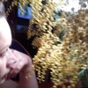 катя, 38, г.Апатиты катя, 38, г.Апатиты