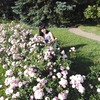 Вікторія, 28, г.Умань Вікторія, 28, г.Умань