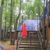 галина, 64, г.Жигулевск галина, 64, г.Жигулевск