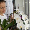 Татьяна, 38, г.Гомель Татьяна, 38, г.Гомель