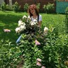 Ирина, 50, г.Электросталь Ирина, 50, г.Электросталь