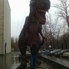 Александр, 37, г.Слоним Александр, 37, г.Слоним