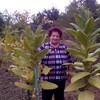 Раиса, 69, г.Чегдомын Раиса, 69, г.Чегдомын