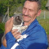 анатолий, 64, г.Сольцы анатолий, 64, г.Сольцы