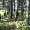Сергей, 55, г.Тайга Сергей, 55, г.Тайга