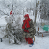 Татьяна, 68, г.Александрия Татьяна, 68, г.Александрия